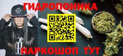 соль ск Ипатово