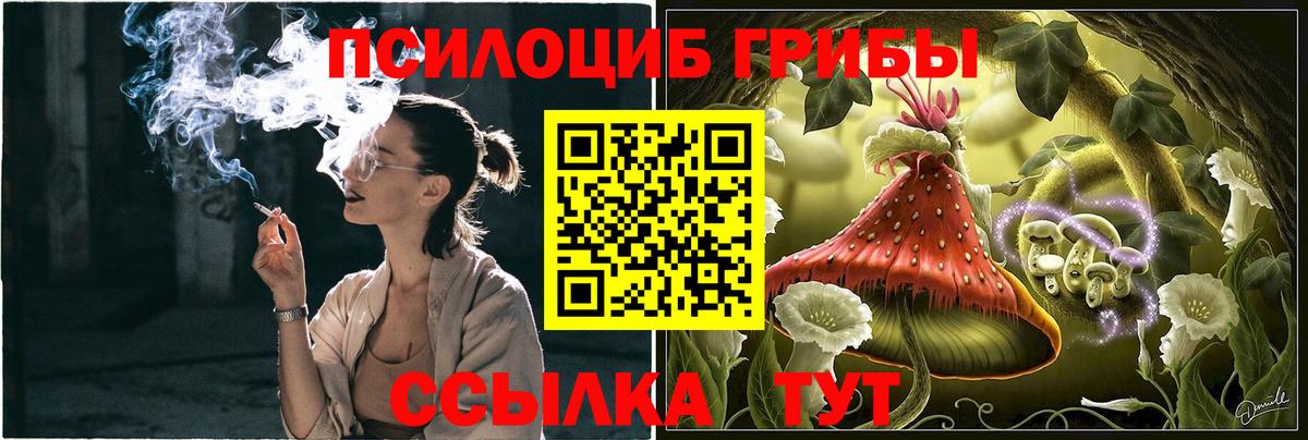 Псилоцибиновые грибы мухоморы Красноярск