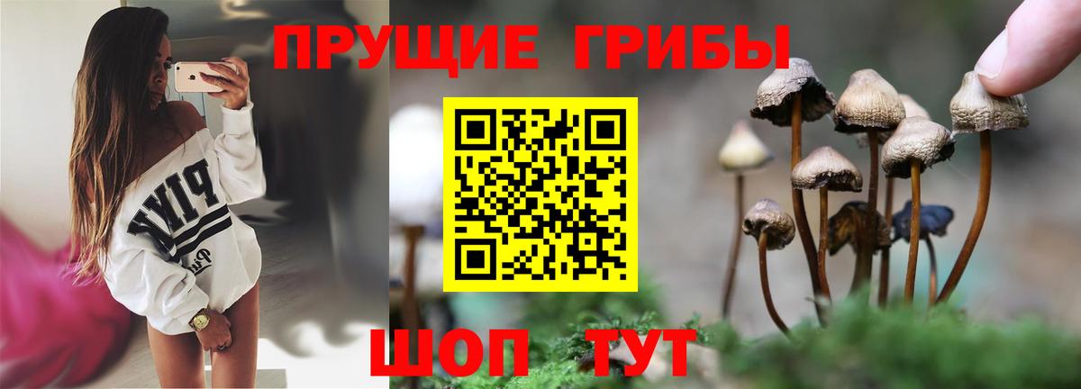 Красноярск  Псилоцибиновые грибы Magic Shrooms  Вход с VPN  Псилоцибиновые грибы Magic Shrooms 